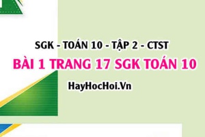 Giải bài 1 trang 17 Toán 10 Tập 2 SGK Chân trời sáng tạo